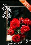 玫瑰先生月季