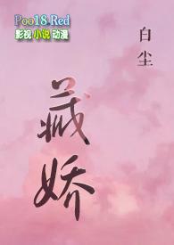 藏娇 阅读
