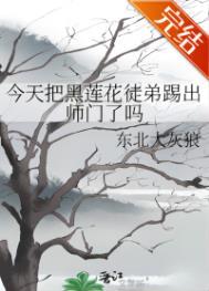 今天把黑莲花徒弟踢出师门了吗全文免费阅读