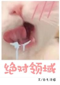 绝对领域为什么不能看了