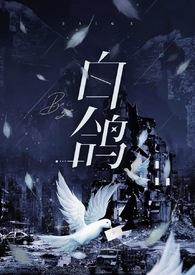 白鸽漫画