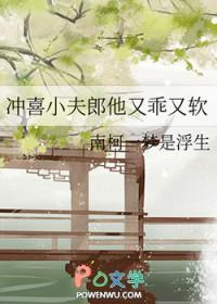 冲喜小夫郎他又乖又软txt
