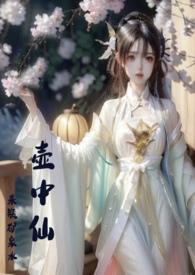 壶中仙银币