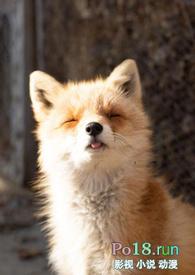 睡了反派男二之后(1v1)