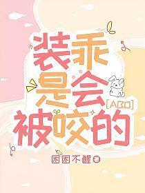 装乖讲的啥