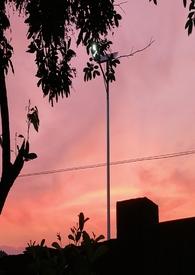 乖宠全文阅读免费