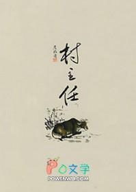 村主任述职报告范文