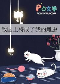 敌国将军嫁我为妾后