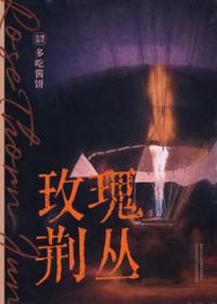 hp玫瑰荆棘攻略指南