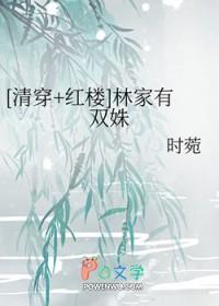 清穿+红楼林家小爷格格党