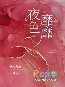 书名夜色侵霜
