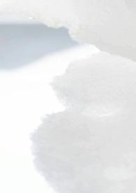 樱花校园病娇视频