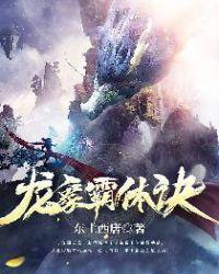 龙象霸体诀笔趣阁