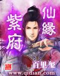 紫府仙缘txt精校