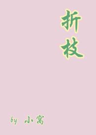 折枝的全部