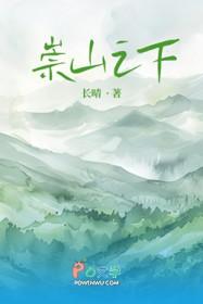 崇山是什么地方