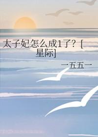 太子妃成了皇妃