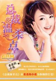 总裁的温柔
