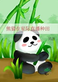 熊猫直播