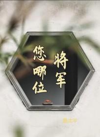 将军你好