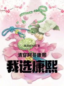 清穿康熙阿哥都喜欢女主