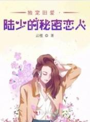 独宠旧爱陆少的秘密恋人晋江