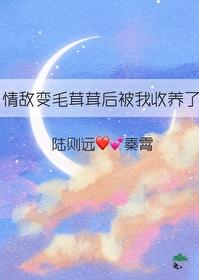 情敌变毛茸茸后被我收养了番外