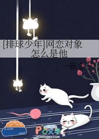 排球少年情感线