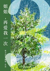 姐姐再爱我一次又何妨