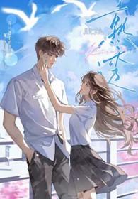 熟透了的杨梅abb应该填个什么词语呢