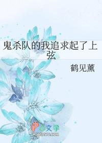 鬼灭之刃漫画鬼杀队见闻录