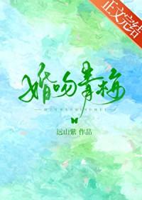 婚吻青梅txt附带番外免费阅读