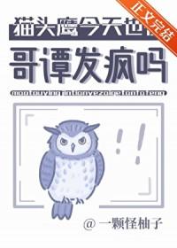 猫头鹰的梗