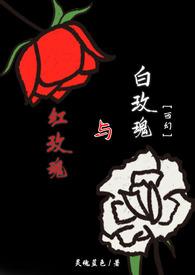 红玫瑰与白玫瑰 张爱玲