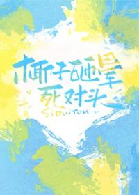 椰子掉下来砸死人案件
