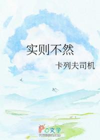 实则不然by卡夫列司讲的什么