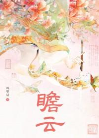 瞻云什么什么四字成语