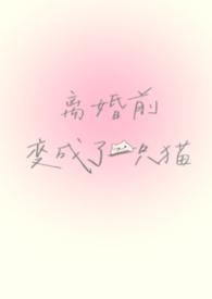离婚前变成了一只猫段叶