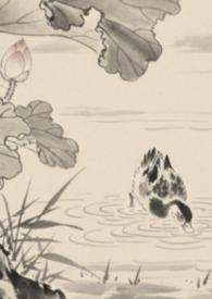 全京城都在等我扑街txt