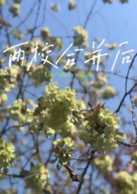 两个学校合并时间需要多久