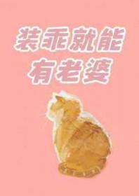装乖45章
