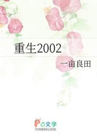 重生2002之金钱人生笔趣阁