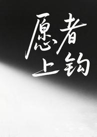 愿者上钩by