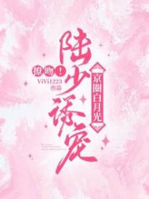 陆少宠妻太甜蜜免费阅读