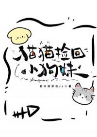 捡猫回家有什么好的说法