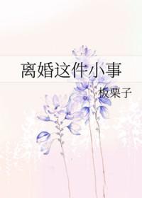 离婚这件小事书包网