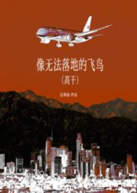 无法回头和落地的鸟