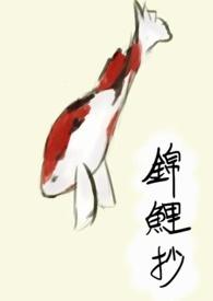 锦鲤抄原版mv