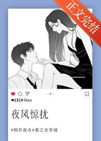 夜风惊扰TXT