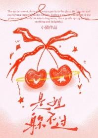 是姐躲不过TXT电子书